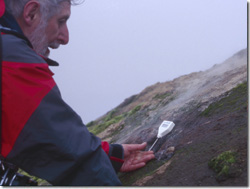 Comunidades únicas de plantas, creciendo sobre suelos geotermales Comunidades únicas de plantas, creciendo sobre suelos geotermales
